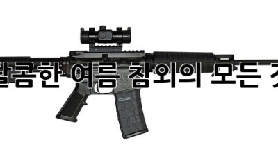 달콤한 여름, 참외의 모든 것!