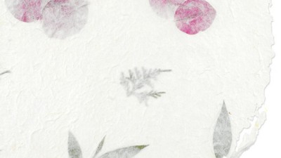 한지꽃🌸득템 후기! 놓치면 후회😭[가성비 갑]